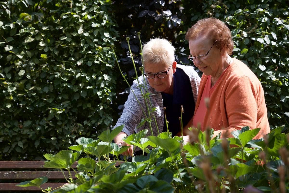 Pflegehilfskraft / Pflegeassistent/in (m/w/d)