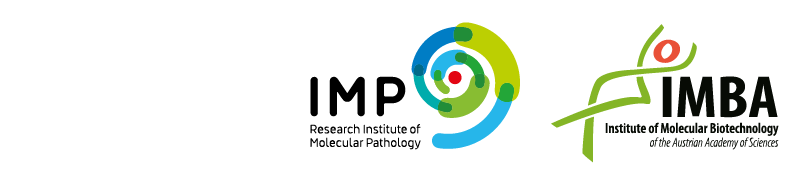 IMP logo