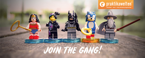 Digital Marketing Manager (m/w/d)